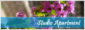 Free CSS Template