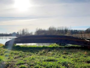 Izlet na rijeku Odru, Turopolje