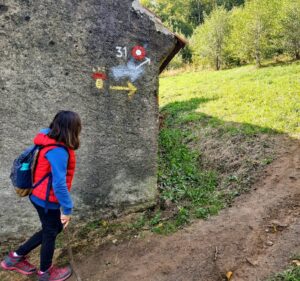 Planinarski put 31 na Medvednici