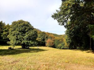 Medvednica - staza 31