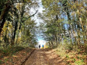Vukomeričke gorice - staza šumarica