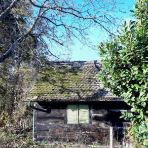 Vukomeričke gorice - staza šumarica