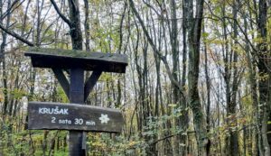 Vukomeričke gorice - staza šumarica