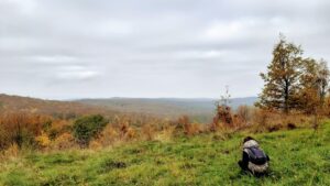 Vukomeričke gorice - staza šumarica