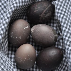 bojanje jaja prirodnim sastojcima